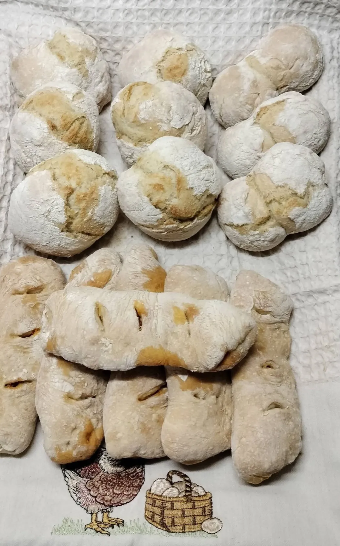 Pães caseiros enfarinhados sobre um pano de cozinha